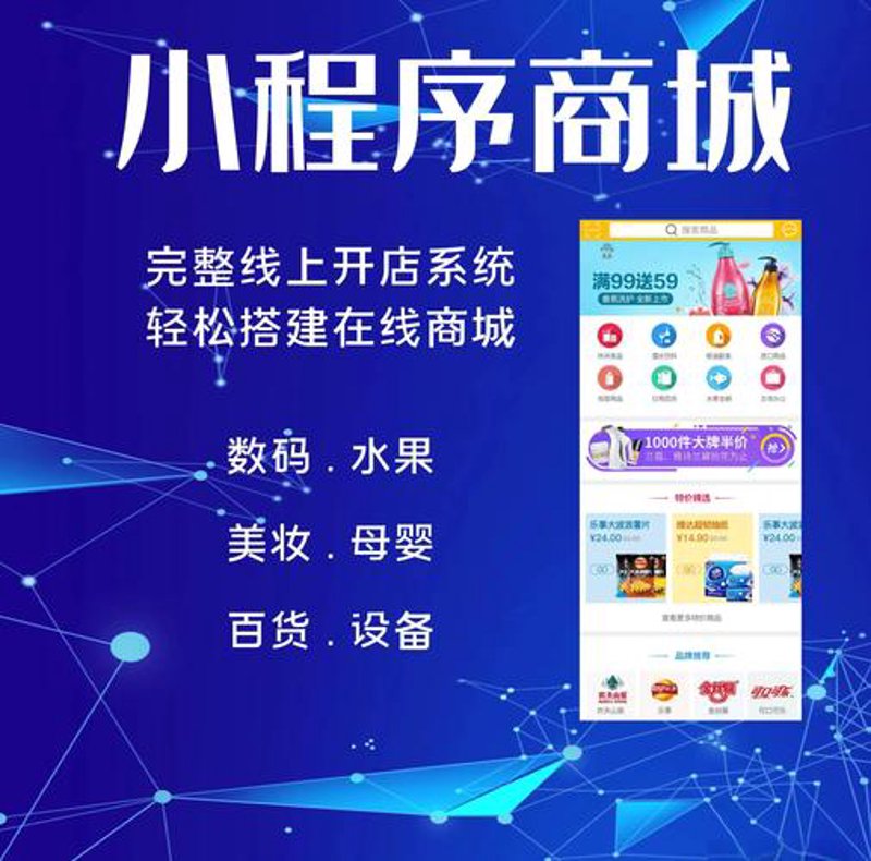 上海电商系统的开发现状与前景探索